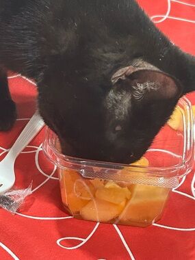 Meet your Posher, Low